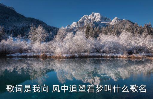 形体舞蹈(风中的额吉),舞蹈风中的额吉背面