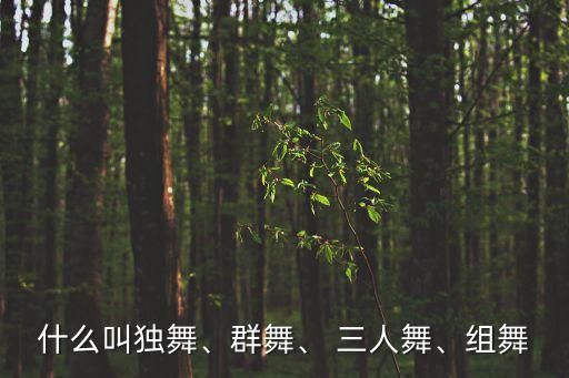 什么叫独舞、群舞、 三人舞、组舞