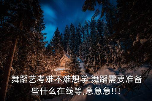  舞蹈艺考难不难想学 舞蹈需要准备些什么在线等,急急急!!!