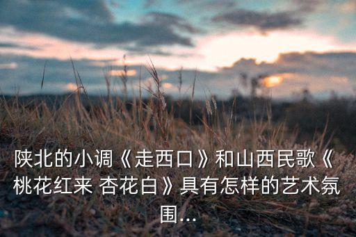 陕北的小调《走西口》和山西民歌《 桃花红来 杏花白》具有怎样的艺术氛围...