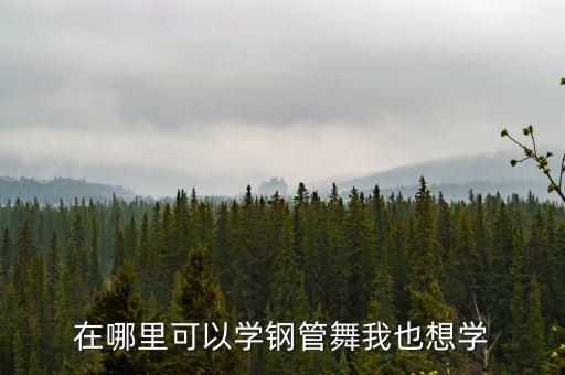 在哪里可以学钢管舞我也想学