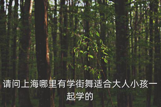 请问上海哪里有学街舞适合大人小孩一起学的