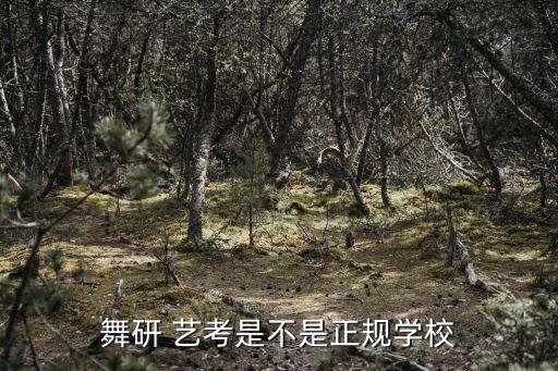 舞研 艺考是不是正规学校