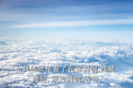 ...具体就是看了孔雀舞啊,西藏 舞蹈, 蒙古舞啊,等等,