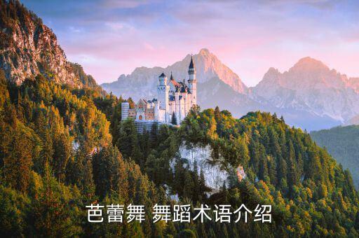 舞蹈欣赏主要欣赏对象是,以下什么是舞蹈欣赏中的集中欣赏对象
