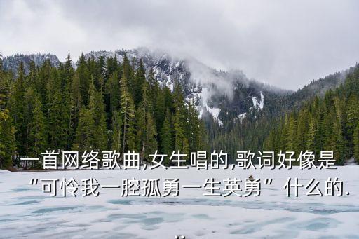 一首网络歌曲,女生唱的,歌词好像是“可怜我一腔孤勇一生英勇”什么的...