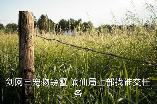 剑网三宠物螃蟹 谪仙局上部找谁交任务