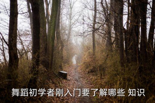 有舞蹈的基础知识,舞蹈的基础知识PPT