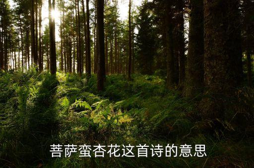 孙科舞蹈菩萨蛮分解,孙科半壶纱舞蹈视频分解动作