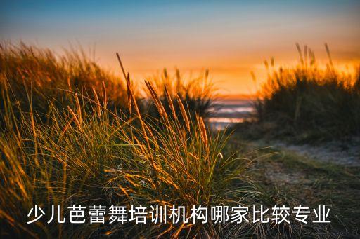 少儿芭蕾舞培训机构哪家比较专业