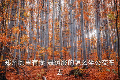 丽萍广场舞蹈服,广场舞蹈服春秋图片大全
