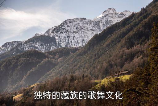 独特的藏族的歌舞文化