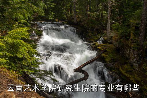 云南艺术学院研究生院的专业有哪些