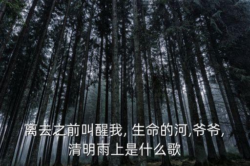 离去之前叫醒我, 生命的河,爷爷,清明雨上是什么歌