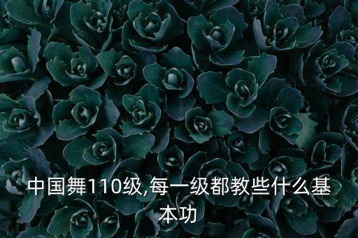 中国舞110级,每一级都教些什么基本功