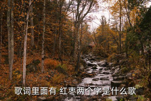 歌词里面有 红枣两个字是什么歌