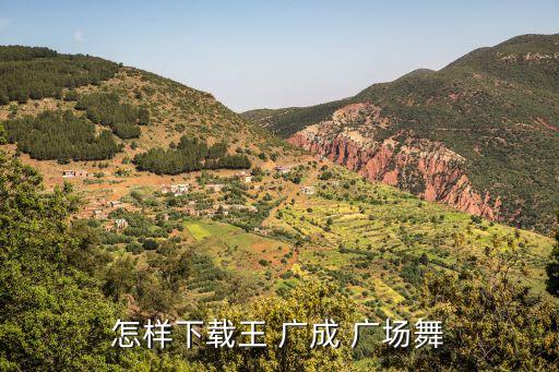 怎样下载王 广成 广场舞