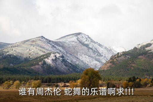 谁有周杰伦 蛇舞的乐谱啊求!!!