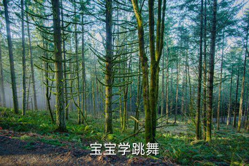宝宝学跳舞