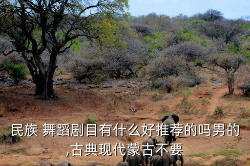 民族 舞蹈剧目有什么好推荐的吗男的,古典现代蒙古不要