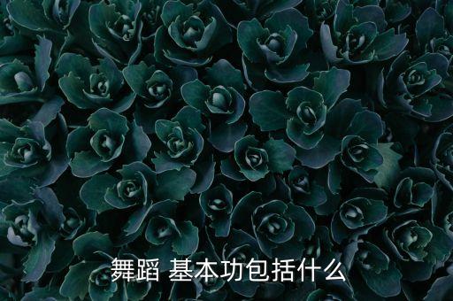 舞蹈基本功有哪