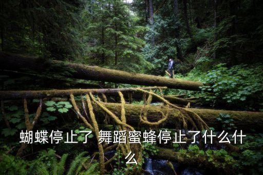  蝴蝶停止了 舞蹈蜜蜂停止了什么什么