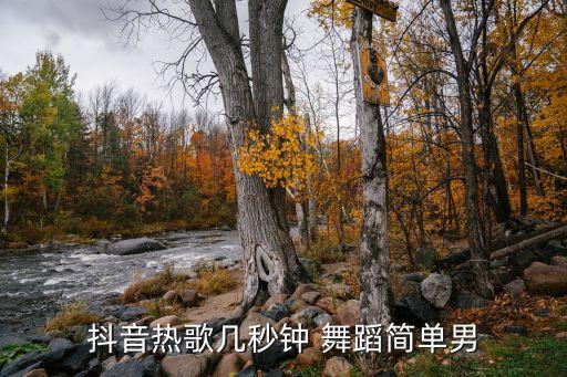 抖音热歌几秒钟 舞蹈简单男
