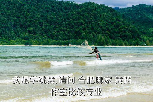 合肥哪里舞蹈培训学校吗,合肥儿童舞蹈培训学校排名榜