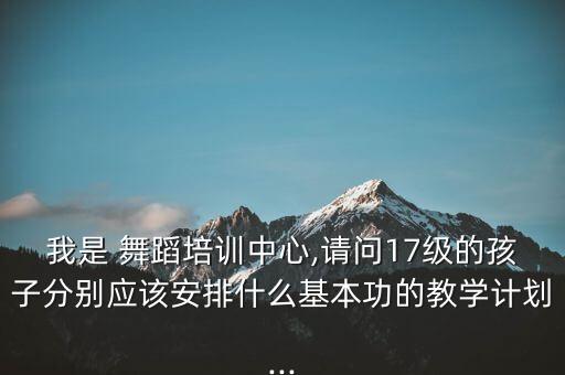 我是 舞蹈培训中心,请问17级的孩子分别应该安排什么基本功的教学计划...