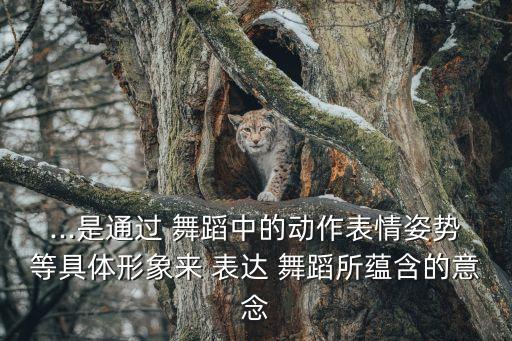 ...是通过 舞蹈中的动作表情姿势等具体形象来 表达 舞蹈所蕴含的意念