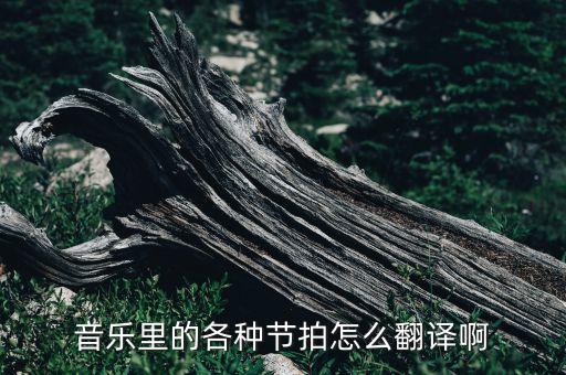 音乐里的各种节拍怎么翻译啊