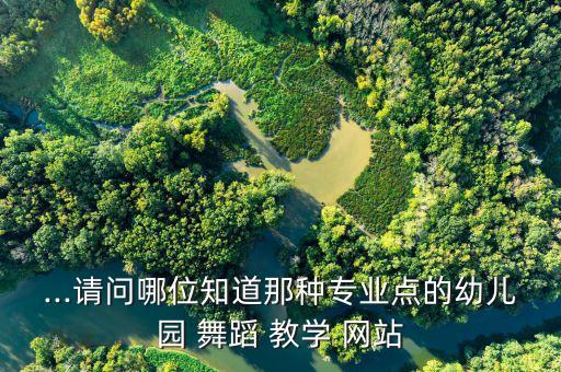 ...请问哪位知道那种专业点的幼儿园 舞蹈 教学 网站
