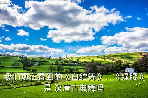 我们现在看到的《白纻舞》、《绿腰》是 汉唐古典舞吗