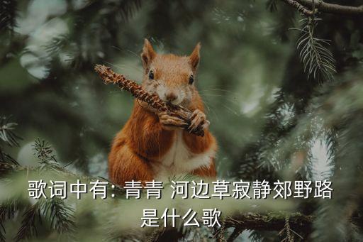 歌词中有: 青青 河边草寂静郊野路是什么歌