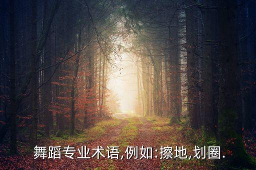  舞蹈专业术语,例如:擦地,划圈.