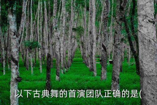 以下古典舞的首演团队正确的是(