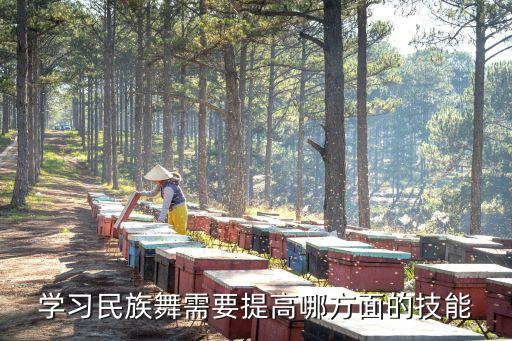 学习民族舞需要提高哪方面的技能