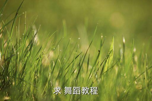 求 舞蹈教程