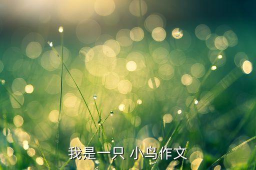 我是一只 小鸟作文