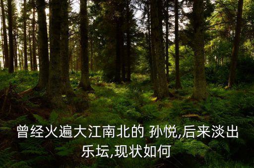 曾经火遍大江南北的 孙悦,后来淡出乐坛,现状如何