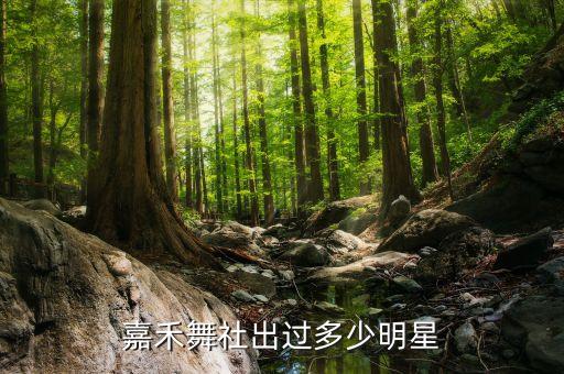 北京舞蹈传媒
