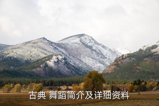 舞蹈小射燕风格特色