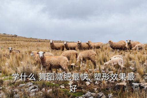 塑形的舞蹈,塑形舞蹈是什么意思