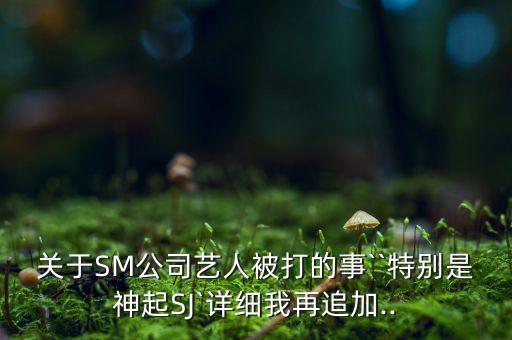 关于SM公司艺人被打的事``特别是神起SJ`详细我再追加..
