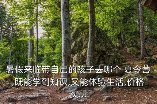 暑假来临带自己的孩子去哪个 夏令营,既能学到知识,又能体验生活,价格实...