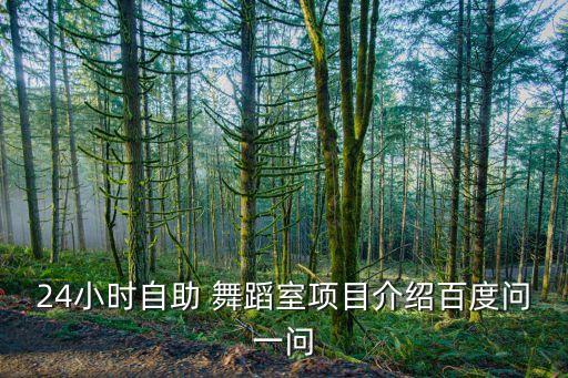 24小时自助 舞蹈室项目介绍百度问一问