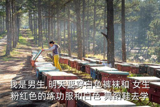 我是男生,明天要穿白色裤袜和 女生粉红色的练功服和白色 舞蹈鞋去学