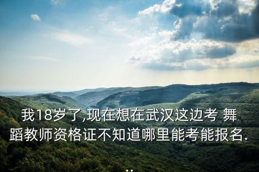 我18岁了,现在想在武汉这边考 舞蹈教师资格证不知道哪里能考能报名...