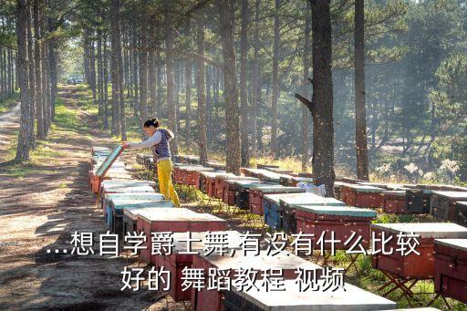 ...想自学爵士舞,有没有什么比较好的 舞蹈教程 视频