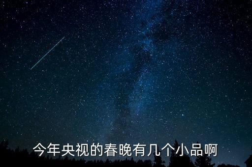 今年央视的春晚有几个小品啊